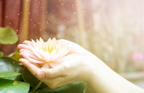 soucit-shutterstock