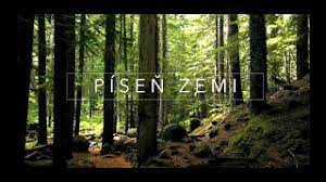 pisen-zemi-patrik