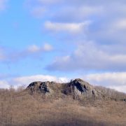 023_kalich_od_panny